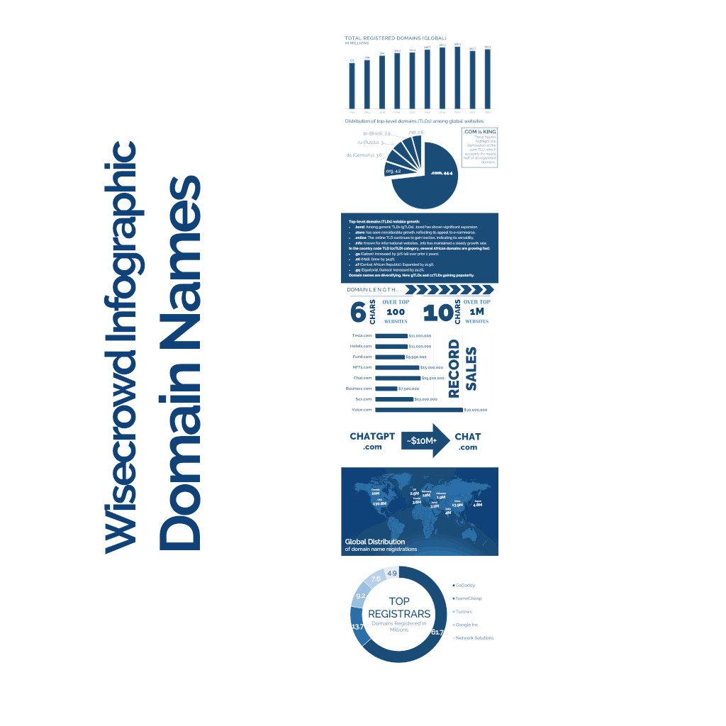 Unlocking the Power of Domain Names: A Visual Infographic Guide